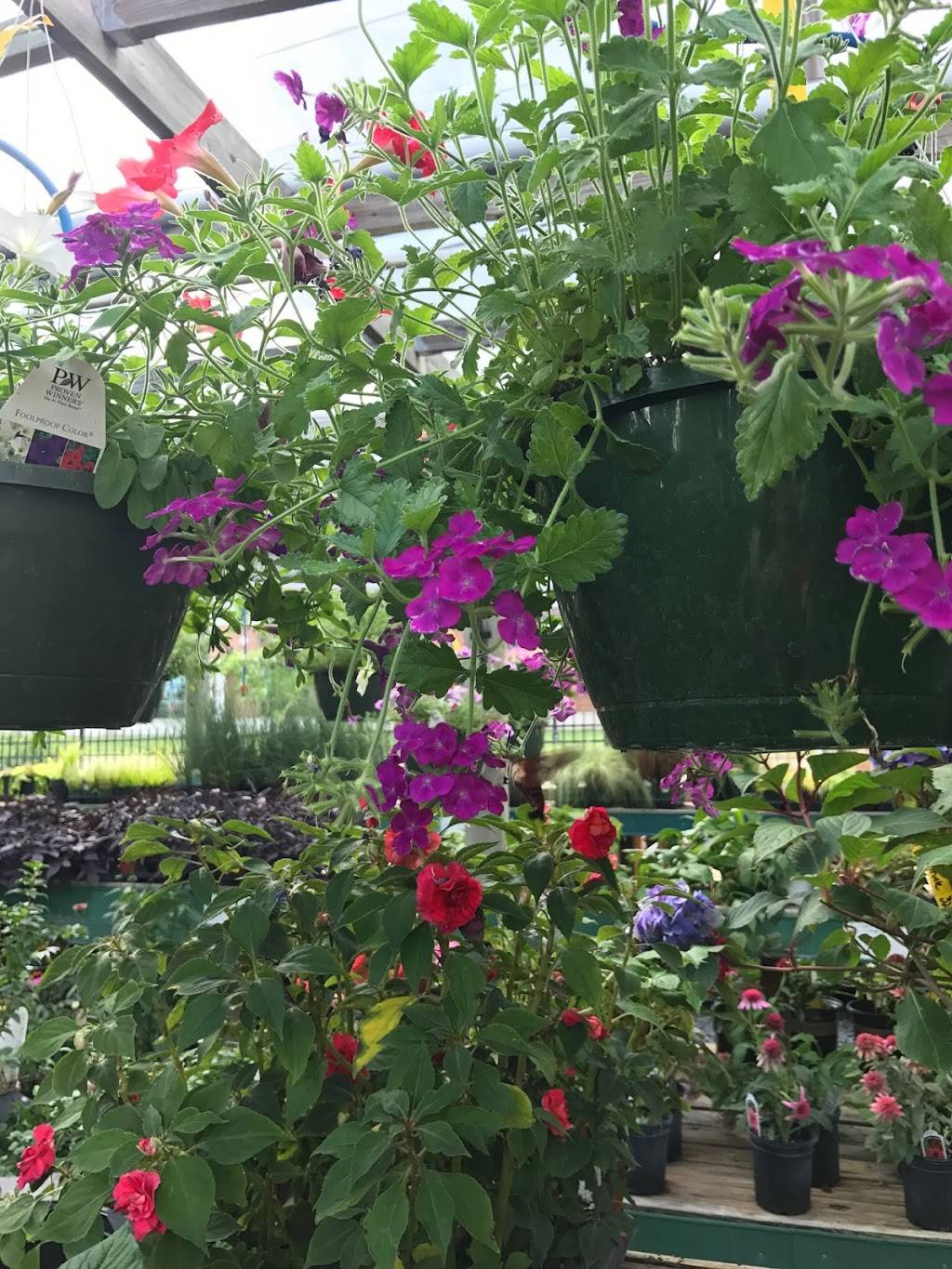 Southern Styles Nursery & Garden Center | 4245 Rea Rd, Charlotte, NC 28226, USA | Phone: (704) 544-8686