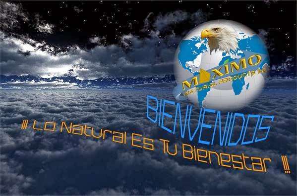 MAXIMO NATURAL PRODUCTS INC | 1615 West Camelback Road Suite B-104, Suite B-104, Phoenix, AZ 85015, USA | Phone: (602) 265-6950