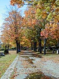 Cedar Grove Cemetery | 920 Adams St, Dorchester Center, MA 02124, USA | Phone: (617) 825-1360