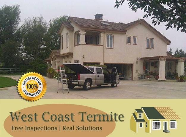 West Coast Termite, Inc | 1408 W Anaheim St, Harbor City, CA 90710, USA | Phone: (424) 249-2013