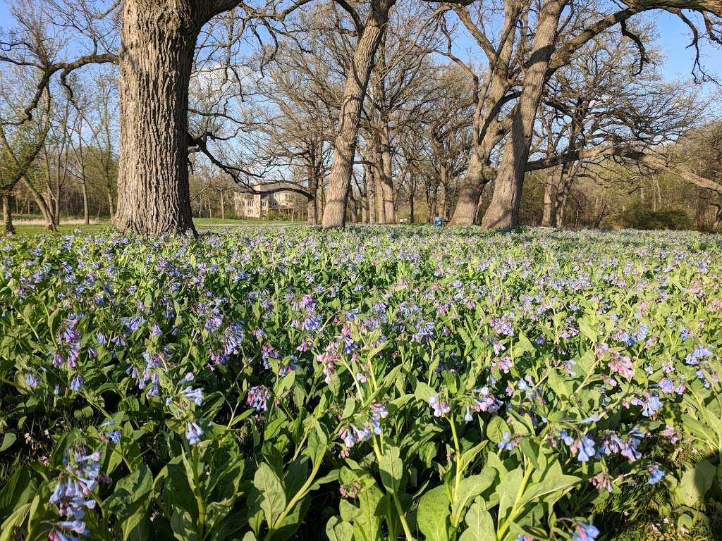 Knoch Knolls Nature Center | 320 Knoch Knolls Rd, Naperville, IL 60565, USA | Phone: (630) 864-3964