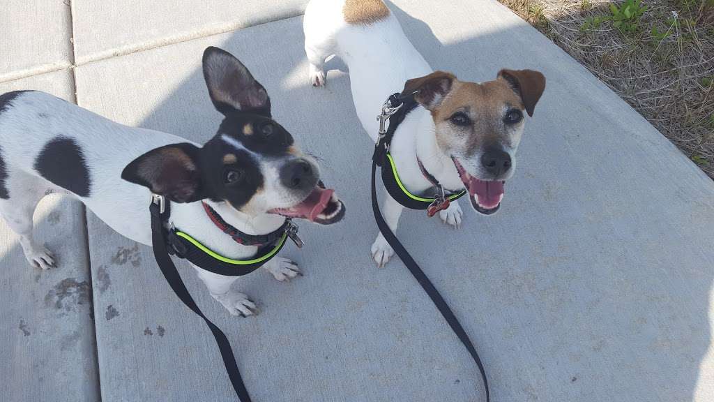 Orland Grassland | 167th Street & S La Grange Road, Tinley Park, IL 60487, USA | Phone: (708) 220-9596