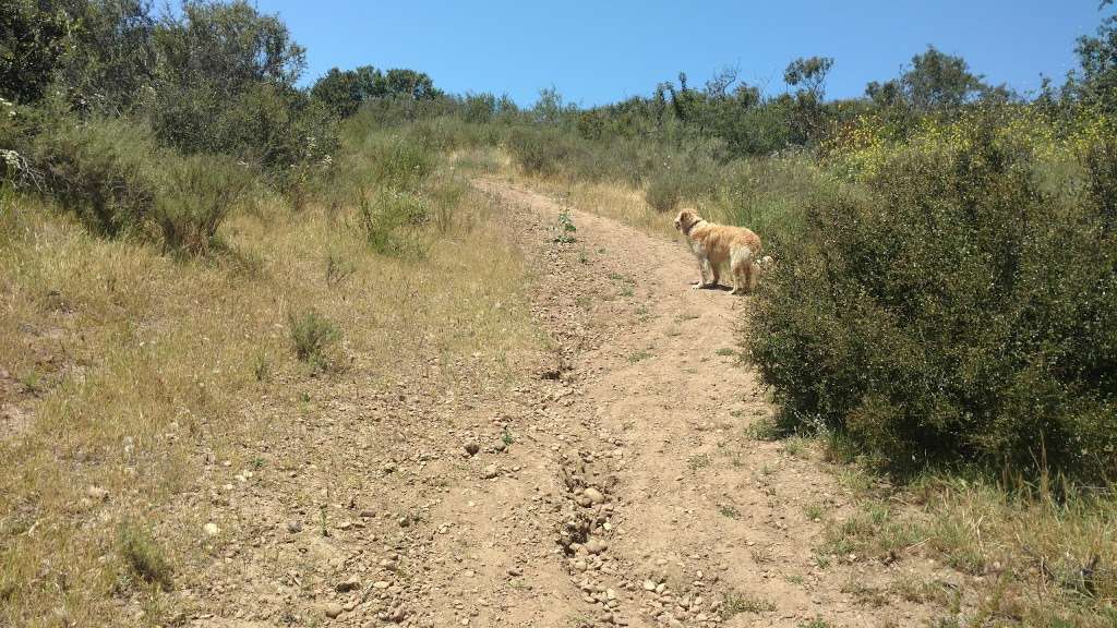 Poway Pond | Sunwood Trail, Poway, CA 92064, USA