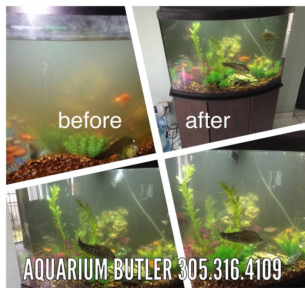 Aquarium Butler | 5894 SW 42nd St, Miami, FL 33155, USA | Phone: (305) 316-4109