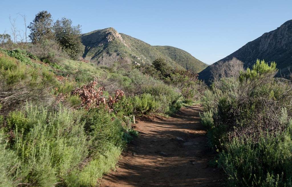 Mission Trails Regional Park Visitor Center | 1 Father Junipero Serra Trail, San Diego, CA 92119 | Phone: (619) 668-3281