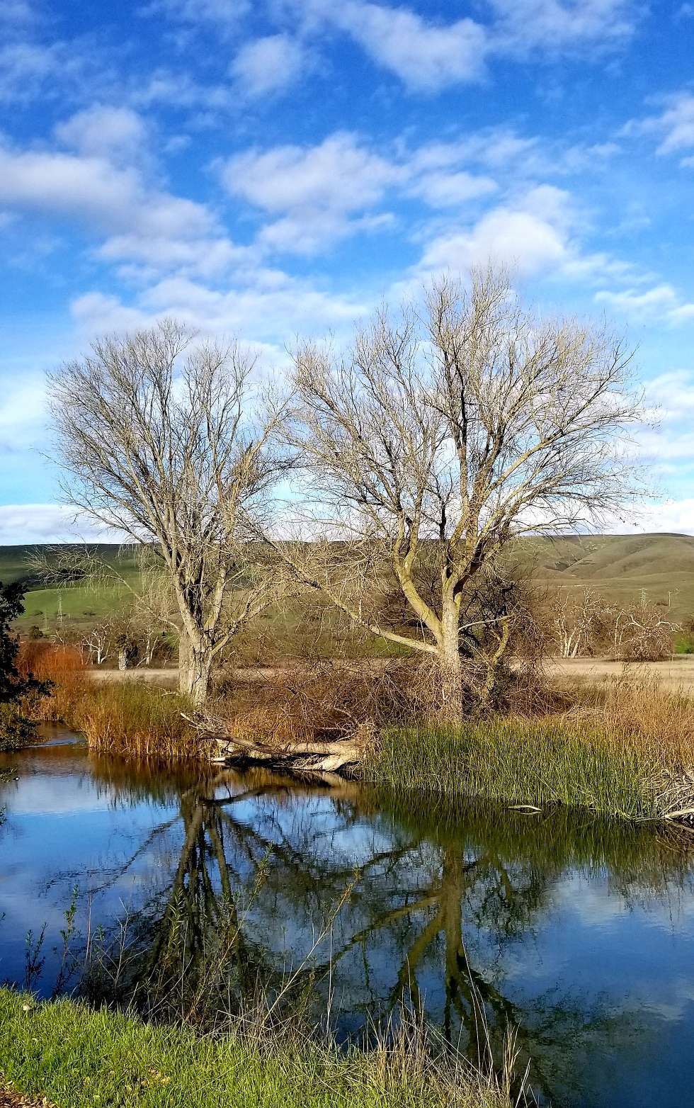 Coyote Creek Trail | Coyote Creek Golf Dr, Morgan Hill, CA 95037, USA