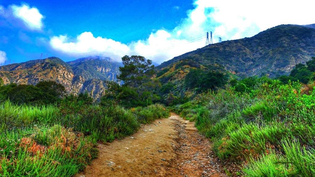 Eaton Canyon Falls | 1750 N Altadena Dr, Altadena, CA 91001, USA | Phone: (626) 574-5200