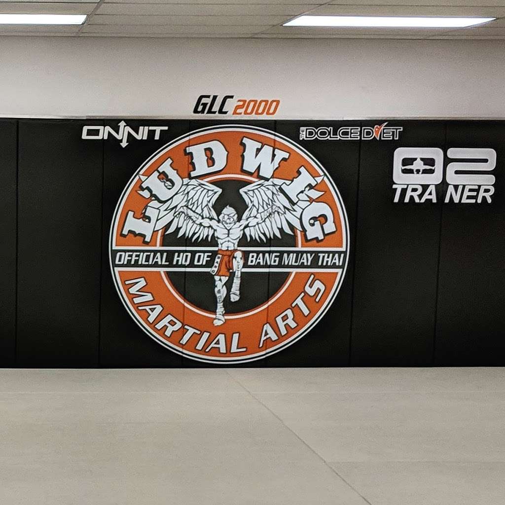 Ludwig Martial Arts | 9140 W 100th Ave A1, Broomfield, CO 80021 | Phone: (720) 589-8792