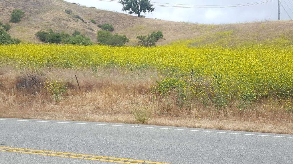 Malibu Creek State Park Trailhead SMHC | 1925 Las Virgenes Rd, Calabasas, CA 91301