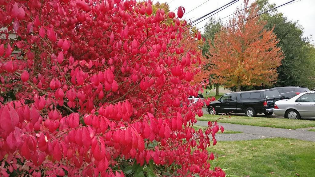 West Queen Anne Playfield | 150 W Blaine St, Seattle, WA 98119 | Phone: (206) 684-4075