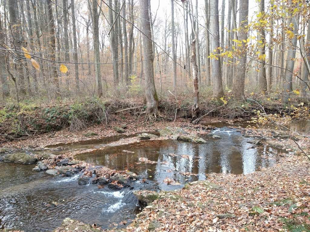 Middle Run Valley Natural Area | Possum Hollow Rd, Newark, DE 19711, USA | Phone: (302) 366-7000