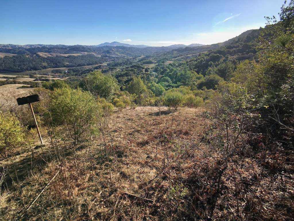 Nimitz Trail South Trailhead | 750 Wildcat Canyon Rd, Berkeley, CA 94708