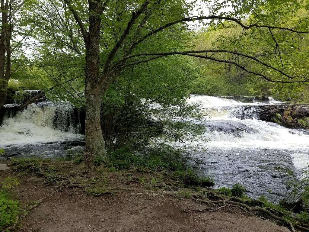 State Game Lands Number 180 | Greeley, PA 18425, USA