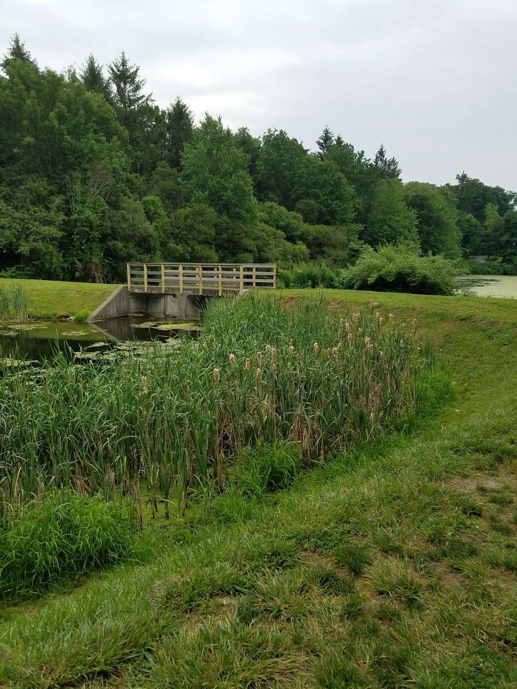 Kathryn Gorman Ponds Park | Senator Levy Dr, Montebello, NY 10901, USA