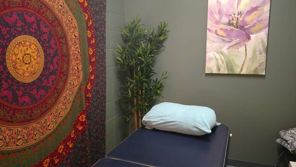 Dragonfly 360 Yoga & Wellness | 1724 E 86th St, Indianapolis, IN 46240 | Phone: (317) 344-9840