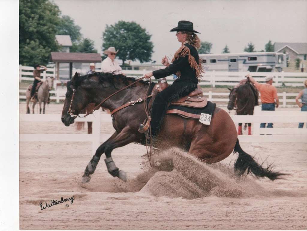 Cornerstone Reining Horses | W691 County Rd CI, Palmyra, WI 53156, USA | Phone: (262) 751-3343