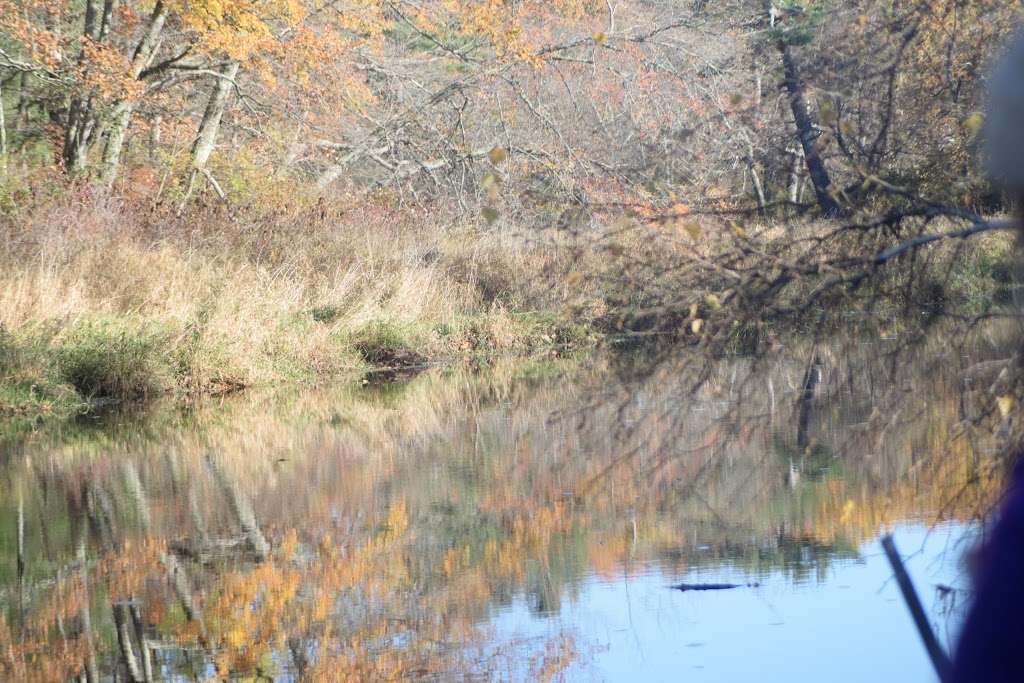 Assabet River Nature Trail | 124-126 Chapin Rd, Hudson, MA 01749, USA