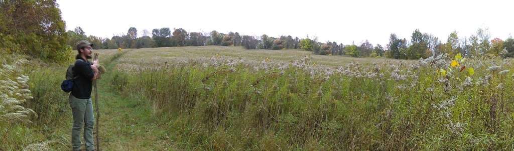 Pochuck Mountain State Forest | Pine Island, NY 10969