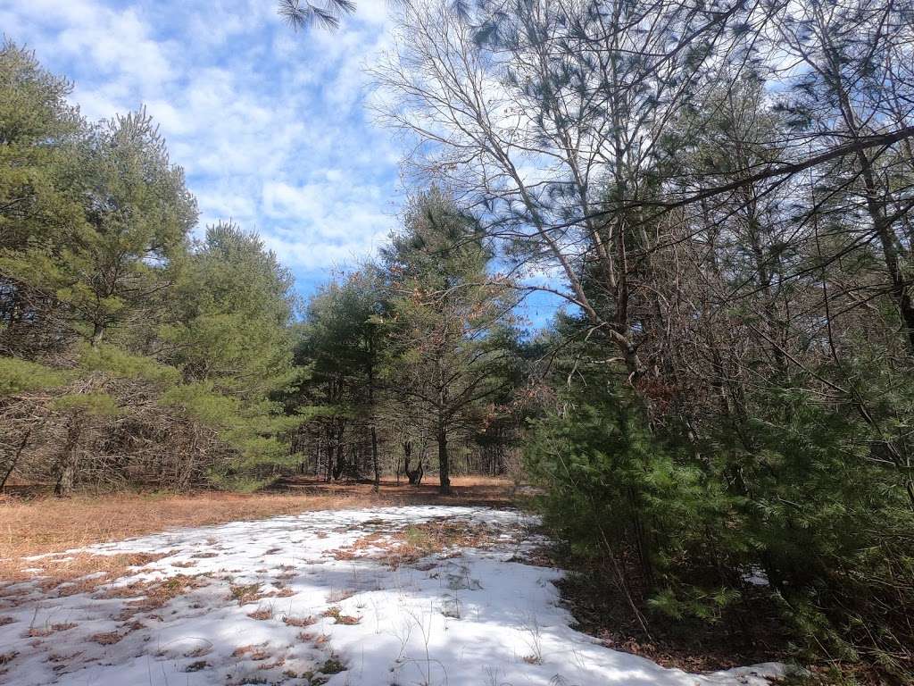 Woodward Forest | 1 Gateway Ln, Norton, MA 02766, USA