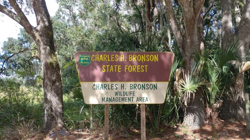 Charles H Bronson State Forest Trailhead | Oviedo, FL 32766, USA
