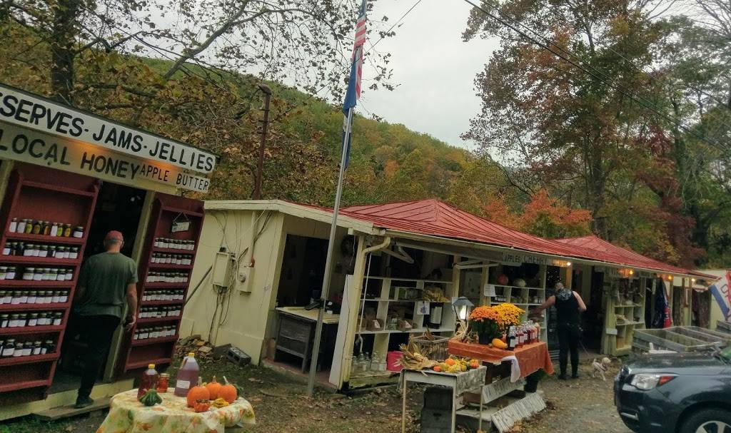 Sorghum Raw Local Honey | Lee Hwy, Sperryville, VA 22740