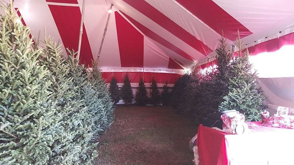 Bgs Christmas tree Farm | hwy 17 and, Georgia St, Bartow, FL 33830, USA | Phone: (863) 800-2874
