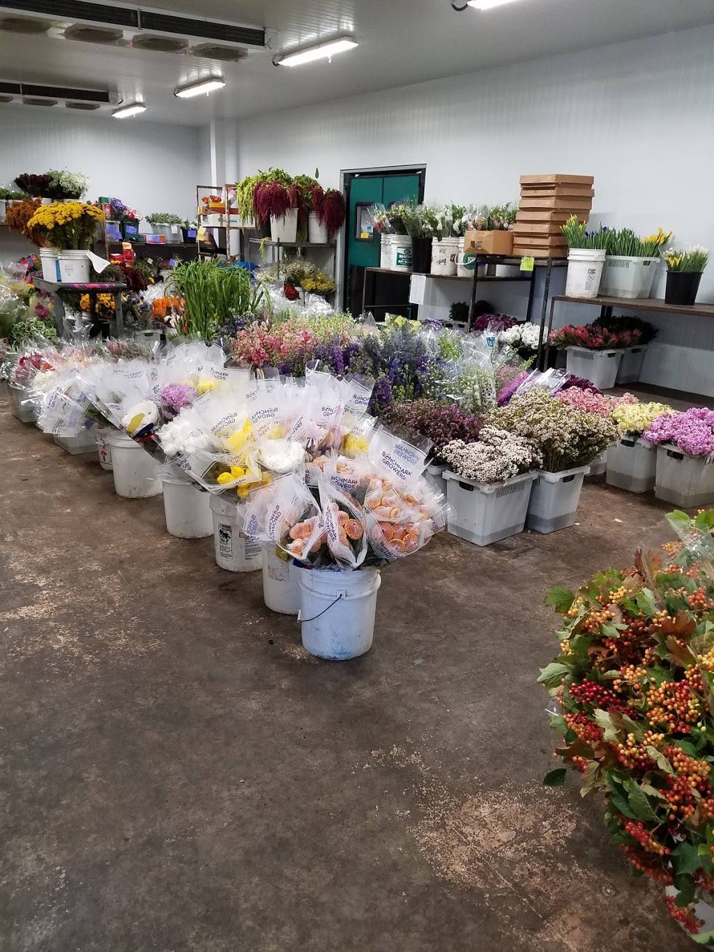 California Flower Shippers | 538 W Trimble Rd, San Jose, CA 95131, USA | Phone: (650) 965-0155