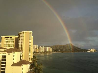 Waikiki Shore 1315 LLC | 2161 Kalia Rd #1315, Honolulu, HI 96815, USA | Phone: (808) 392-5844