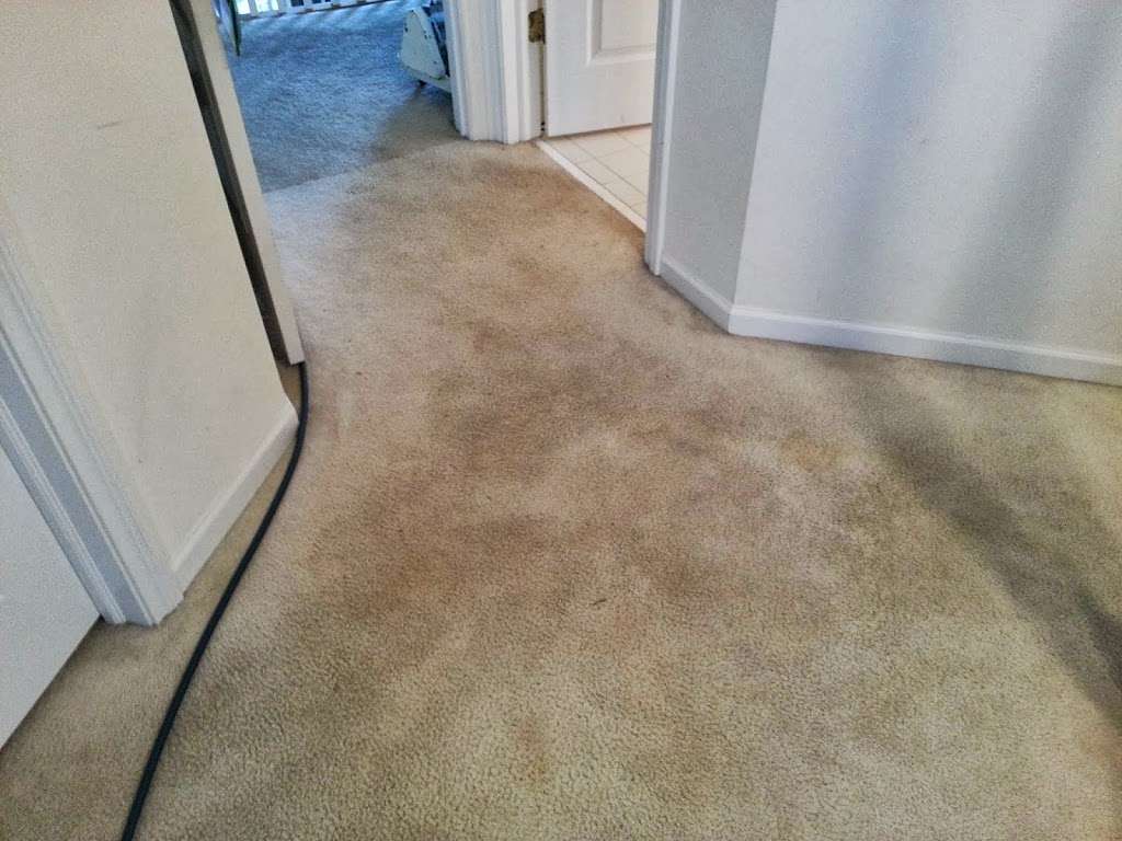 Optimum Carpet Care | 2649, 888 E Belvidere Rd suite 316, Grayslake, IL 60030 | Phone: (847) 223-2398