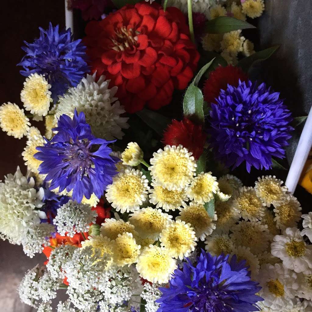 STILL WATERS FARM AND GARDENS | 1321 Schumann Ln, Hickory, NC 28602, USA | Phone: (704) 578-4586