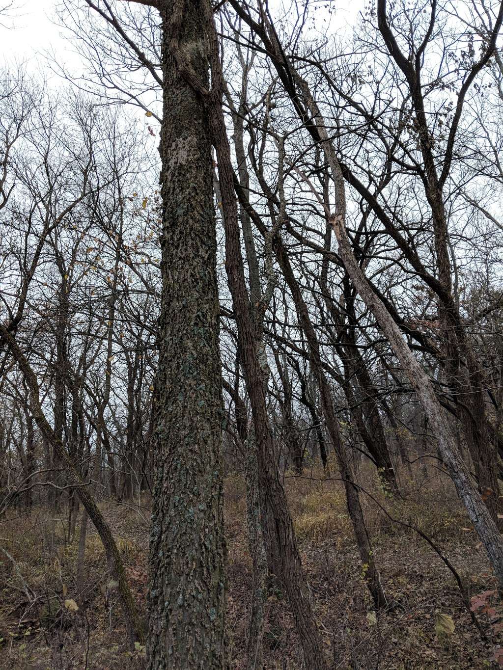 Fitch Natural History Reservation | Lawrence, KS 66044