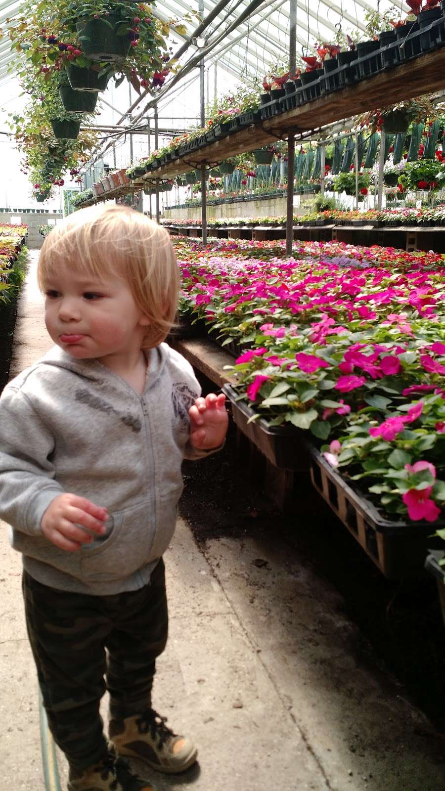 Schultes Garden Center | 811 E Wisconsin Ave, Pewaukee, WI 53072, USA | Phone: (262) 696-6342