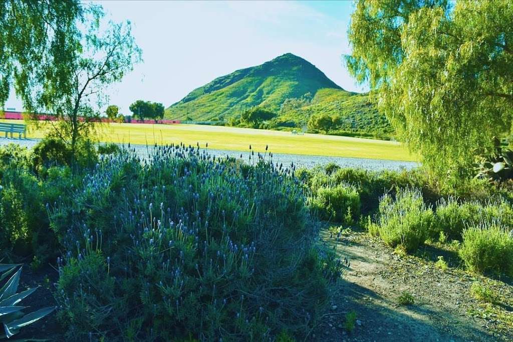 CSUCI Student Garden | Ventura County, CA 93012