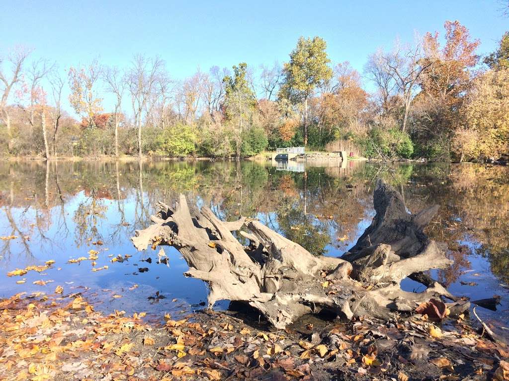 Fullersburg Woods Nature Education Center | 3609 Spring Rd, Oak Brook, IL 60523, USA | Phone: (630) 850-8110