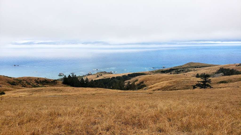 Jenner Headlands Preserve | 12001 CA-1, Jenner, CA 95450, USA | Phone: (909) 797-8507