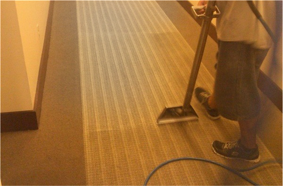 Steamex Carpet Cleaning | 8629 S Los Feliz Dr, Tempe, AZ 85284 | Phone: (480) 839-3320