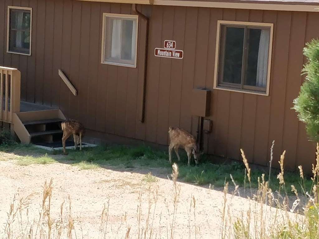 Twin Pines cabin, YMCA of the Rockies | Estes Park, CO 80517