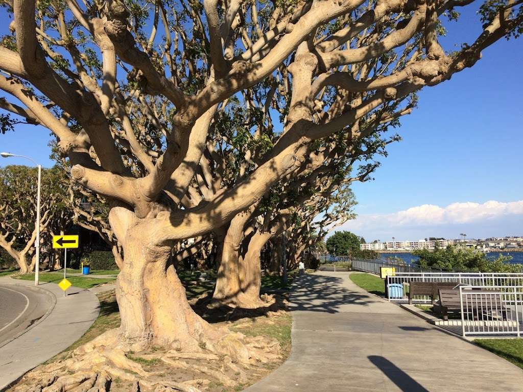 Marina del Rey Inlet & Park | Vía Marina, Venice, CA 90292