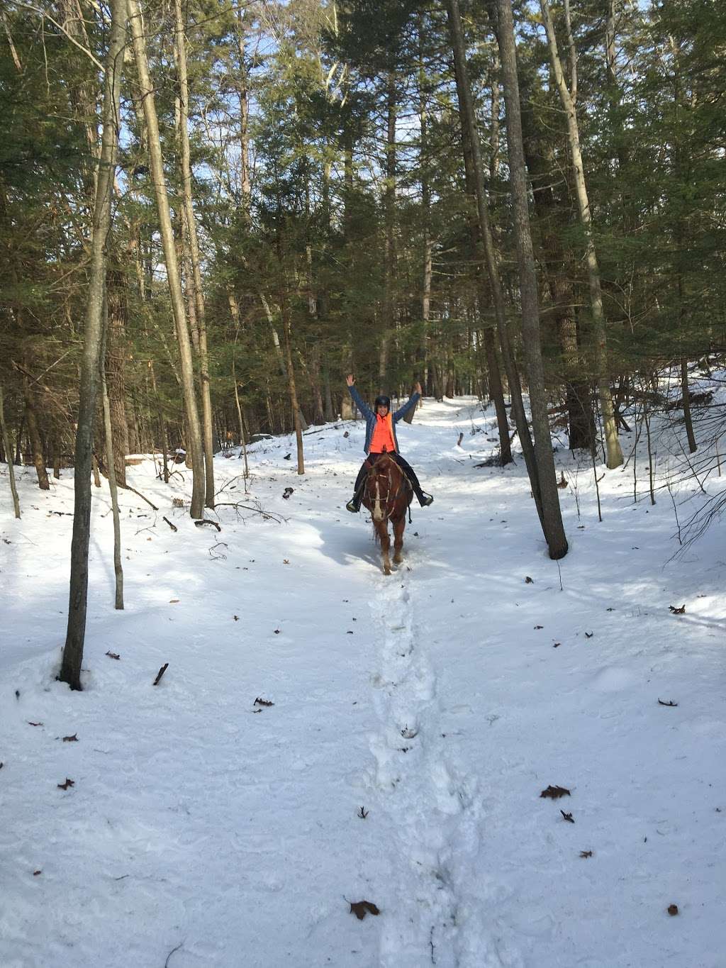 Top View Riding Ranch | 36 Hess Rd, Blairstown, NJ 07825, USA | Phone: (908) 362-1440