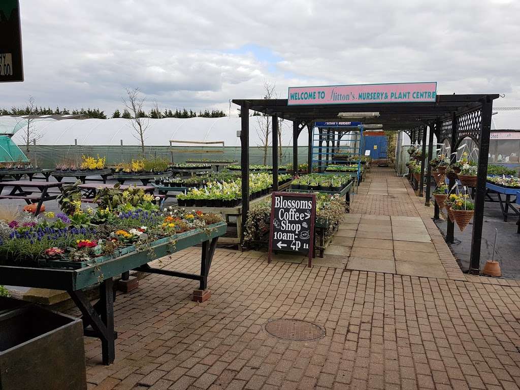 Flittons Nursery & Plant Centre | 51 Woodmansterne Ln, Wallington SM6 0SW, UK | Phone: 020 8647 5615