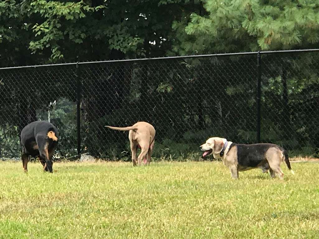 Precious 9 Memorial Dog Park | 4101 Statesville Blvd, Salisbury, NC 28147, USA