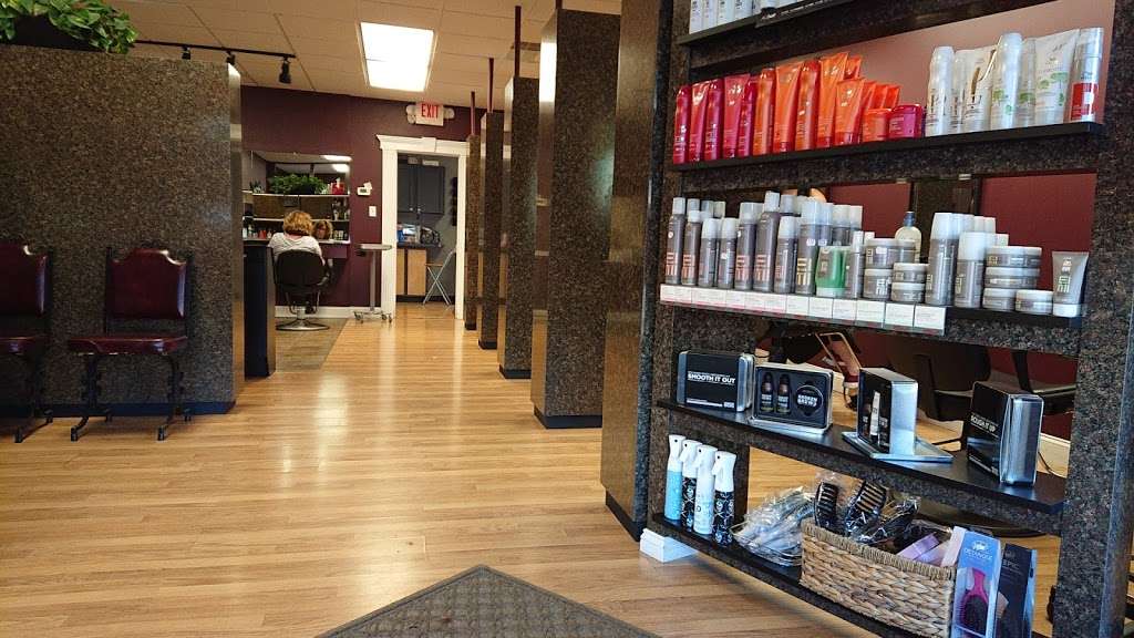 Hair Designer | 406 W Ridge Pike # 400, Conshohocken, PA 19428, USA | Phone: (610) 828-8599