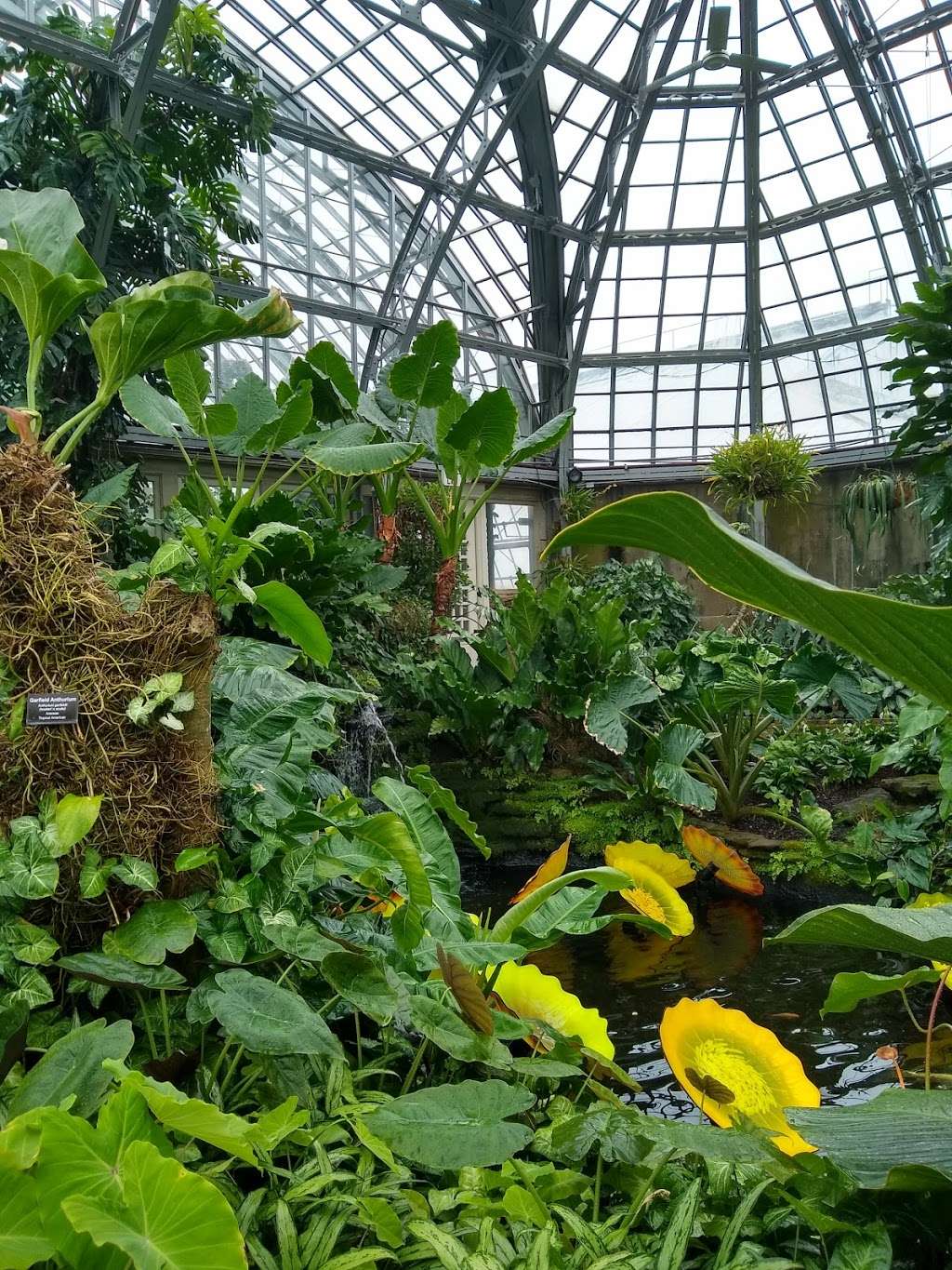Garfield Park Conservatory Gift Shop | 300 N Central Park Ave, Chicago, IL 60624, USA | Phone: (312) 746-5100