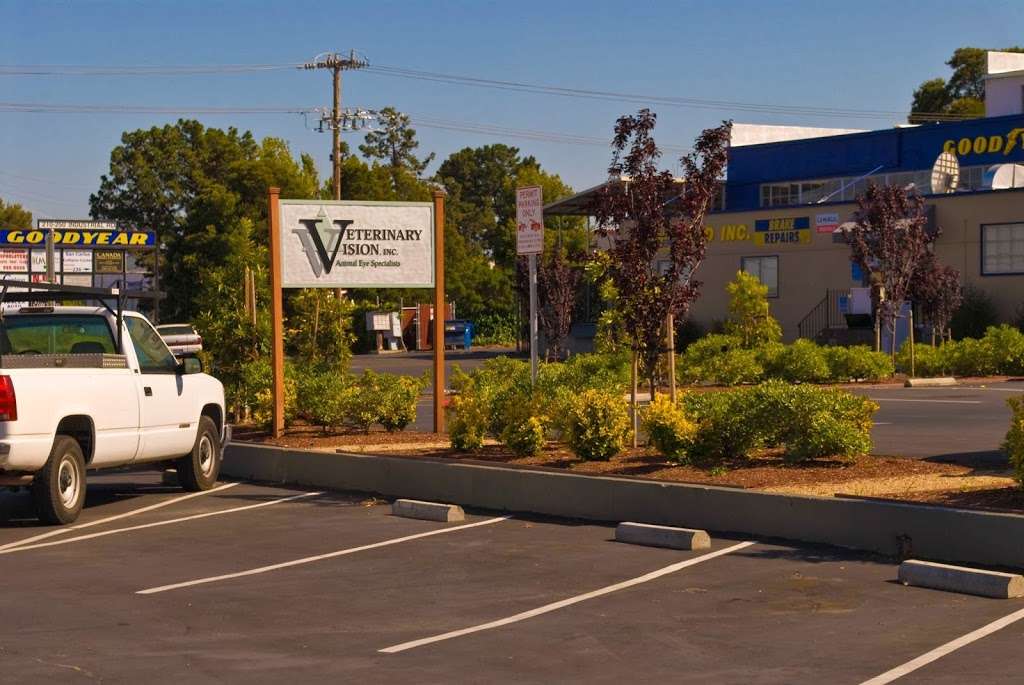 Veterinary Vision Animal Eye Specialists | 210 Industrial Rd, San Carlos, CA 94070, USA | Phone: (650) 551-1115