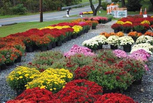 Chapel Hills Nursery | 4350 Chapel Rd, Perry Hall, MD 21128, USA | Phone: (410) 256-5335