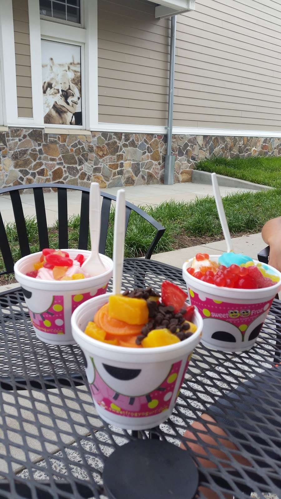 Sweet Frog | 100 Purcellville Gateway Dr, Purcellville, VA 20132 | Phone: (540) 751-9565