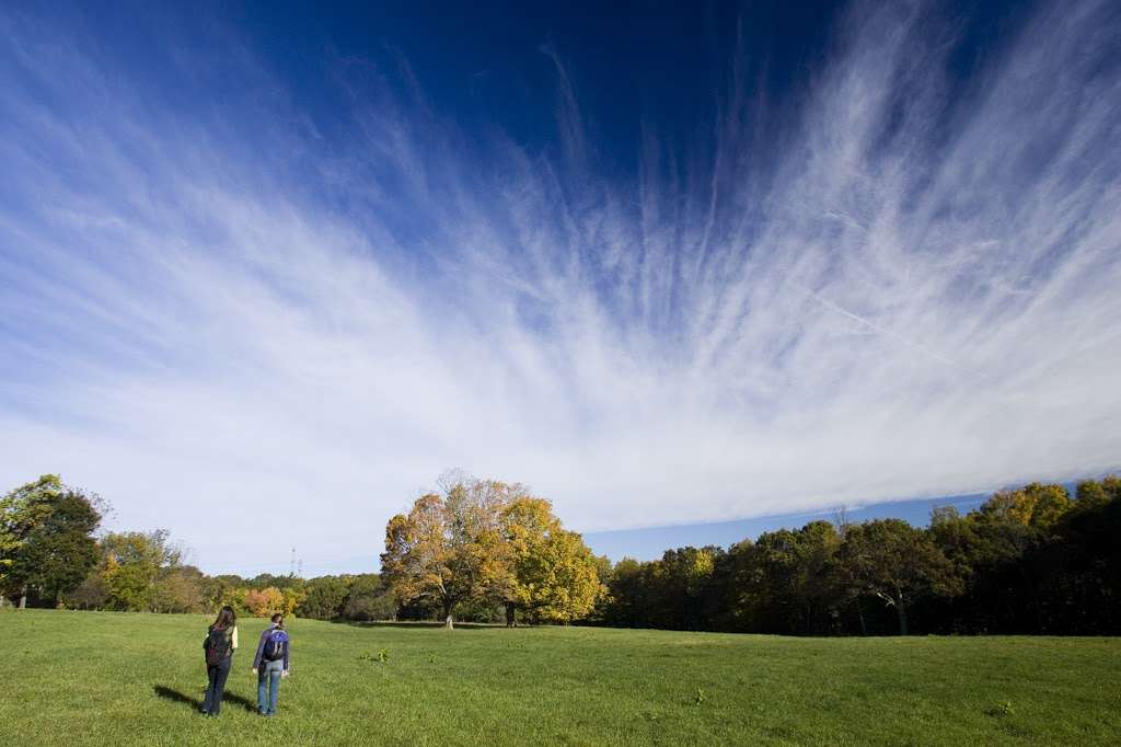 The Cooperative Nature School at The Trustees Moose Hill Farm | 396 Moose Hill St, Sharon, MA 02067, USA | Phone: (781) 806-6156