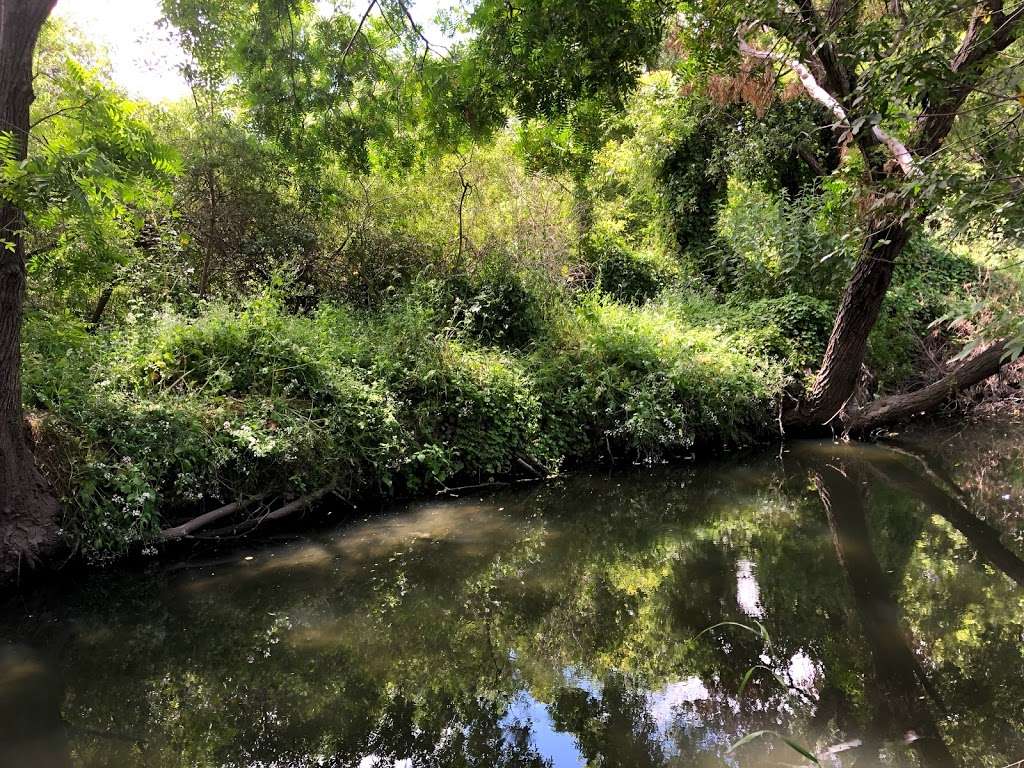 Baylands Nature Preserve - City of Palo Alto | Palo Alto, CA 94303, USA | Phone: (650) 617-3156