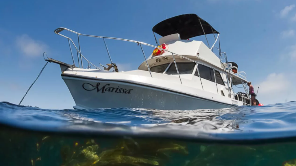 Marissa Charters - San Diego Scuba Diving Charter Boat | 1010 Santa Clara Pl, San Diego, CA 92109, USA | Phone: (619) 757-3280