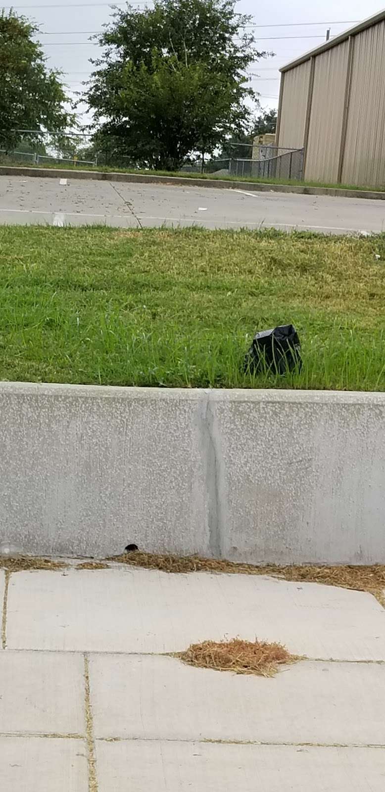 Clark @ Mountain Creek - S - NS | Dallas, TX 75249, USA